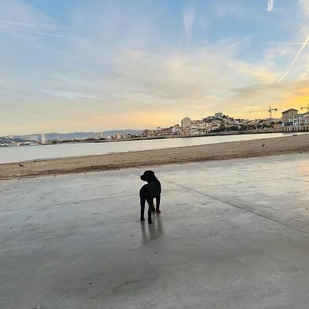 L'Enraguer Lejlighed Marseille Eksteriør billede